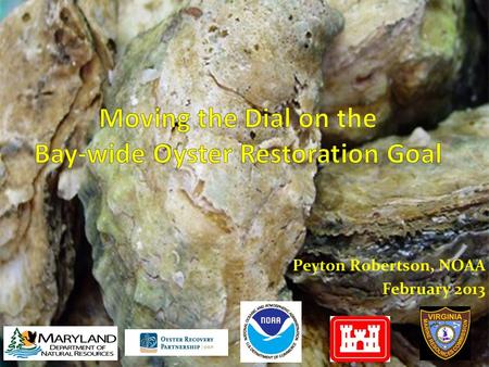 Peyton Robertson, NOAA February 2013. Goal: Restore oyster populations in 20 tributaries by 2025 Tributary Selection: MD & VA Oyster Restoration Interagency.