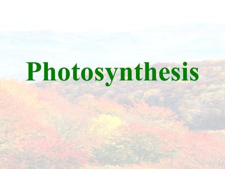 Photosynthesis. Photosynthesis in Overview Process by which plants and other autotrophs store the energy of sunlight into sugars. Requires sunlight, water,