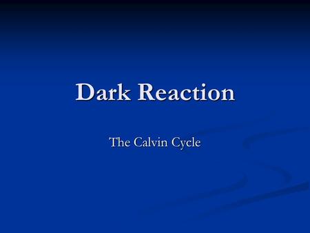 Dark Reaction The Calvin Cycle.