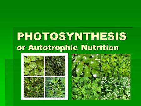 PHOTOSYNTHESIS or Autotrophic Nutrition. PHOTOSYNTHESIS.