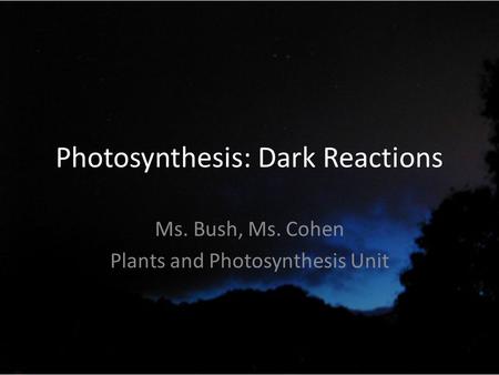 Photosynthesis: Dark Reactions Ms. Bush, Ms. Cohen Plants and Photosynthesis Unit.