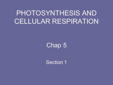 PHOTOSYNTHESIS AND CELLULAR RESPIRATION