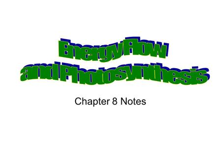 Chapter 8 Notes. Energy Flows Between Living Things Photosynthesis- process by which light energy is converted to chemical energy. Autotrophs-organisms.