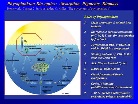 Phytoplankton Bio-optics: Absorption, Pigments, Biomass Phytoplankton Bio-optics: Absorption, Pigments, Biomass Homework: Chapter 2 in your reader: C.
