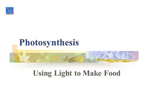 Photosynthesis Using Light to Make Food. Photosynthesis H2OH2OH2OH2O CO 2 O2O2O2O2 C 6 H 12 O 6 Light Reaction Dark Reaction Light is Adsorbed ByChlorophyll.
