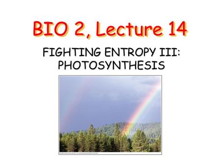BIO 2, Lecture 14 FIGHTING ENTROPY III: PHOTOSYNTHESIS.