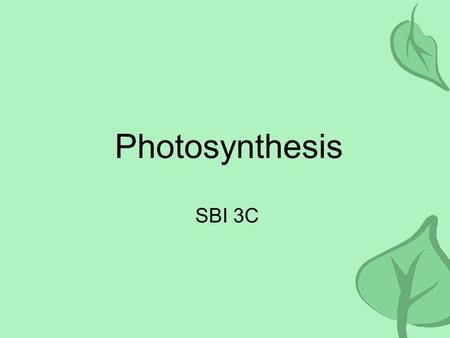 Photosynthesis SBI 3C. Overview All energy on earth comes from the sun. We depend on: –Plants –Algae (underwater plants) –Cyanobacteria (photosynthetic.