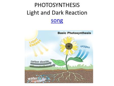 PHOTOSYNTHESIS Light and Dark Reaction song
