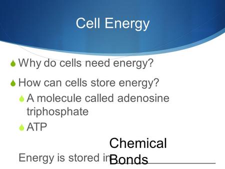 Cell Energy  Why do cells need energy?  How can cells store energy?  A molecule called adenosine triphosphate  ATP Energy is stored in ________________.