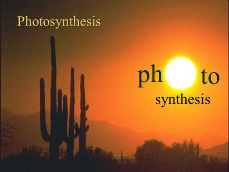 1 9/19/2015 ph to synthesis Photosynthesis 2 9/19/2015 Flag.