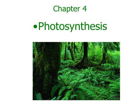 Chapter 4 Photosynthesis.