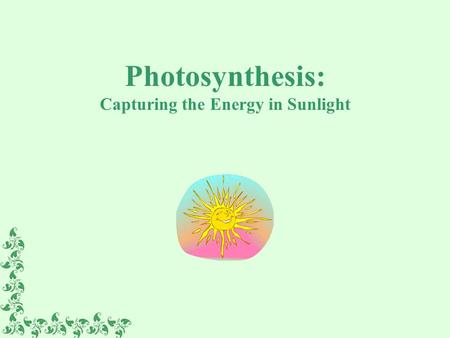 Photosynthesis: Capturing the Energy in Sunlight
