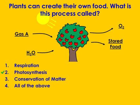 Plants can create their own food. What is this process called? 1.Respiration 2.Photosynthesis 3.Conservation of Matter 4.All of the above Gas A H2OH2O.