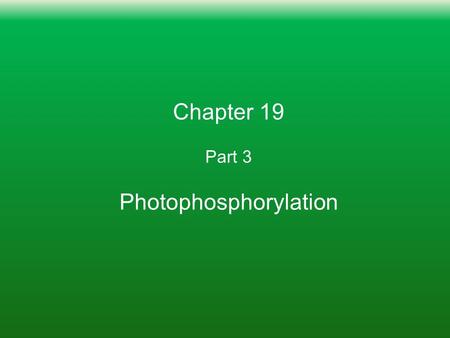 Chapter 19 Part 3 Photophosphorylation. Learning Goals: To Know 1. How energy of sunlight creates charge separation in the photosynthetic reaction complex.