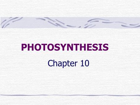 PHOTOSYNTHESIS Chapter 10. BASIC VOCABULARY Autotrophs – producers; make their own “food” Heterotrophs – consumers; cannot make own food.