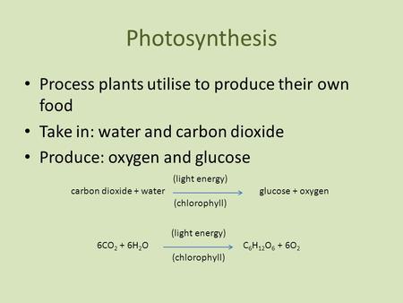 carbon dioxide + water glucose + oxygen