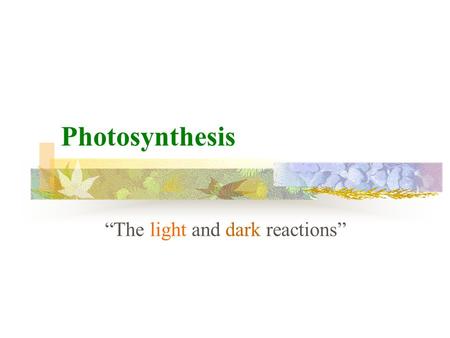 Photosynthesis “The light and dark reactions” General formula for photosynthesis Light + water + carbon dioxide = glucose + oxygen.