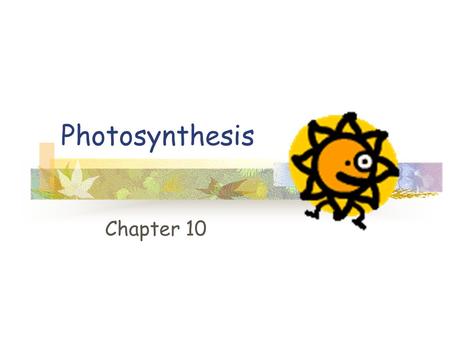 Photosynthesis Chapter 10 Photosynthesis (a) Plants (b) Multicellular alga (c) Unicellular eukaryotes (d) Cyanobacteria (e)Purple sulfur bacteria.