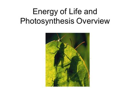 Energy of Life and Photosynthesis Overview