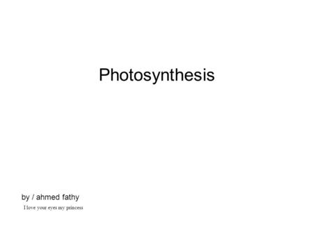 Photosynthesis by / ahmed fathy I love your eyes my princess.
