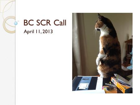 BC SCR Call April 11, 2013. Agenda ? June 7 SQAN/BC NSQIP Meeting SAR Questions or Requests for Site Visits Workflow reports on the ACS Workstation.