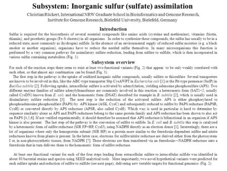 Subsystem: Inorganic sulfur (sulfate) assimilation Christian Rückert, International NRW Graduate School in Bioinformatics and Genome Research, Institute.