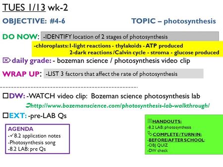 TUES 1/13 wk-2 OBJECTIVE: #4-6 TOPIC – photosynthesis DO NOW :  daily grade: - bozeman science / photosynthesis video clip WRAP UP :  DW: -WATCH video.