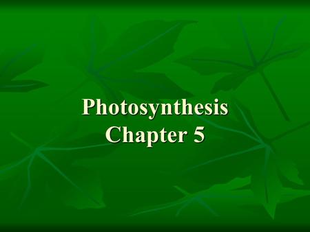 Photosynthesis Chapter 5. Outline I. Photosynthesis A. Introduction B. Reactions.