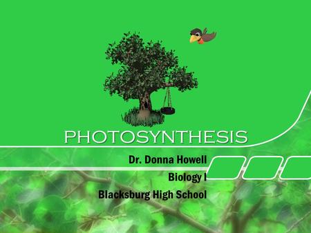 Photosynthesis Dr. Donna Howell Biology I Blacksburg High School.
