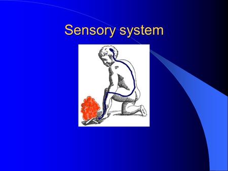 Sensory system.