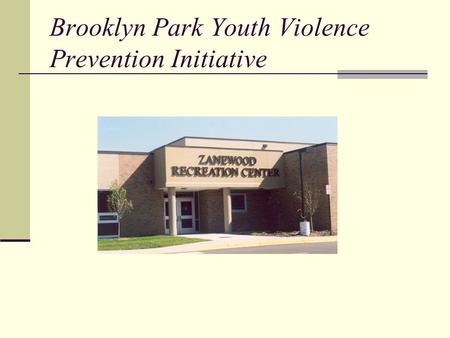 Brooklyn Park Youth Violence Prevention Initiative.