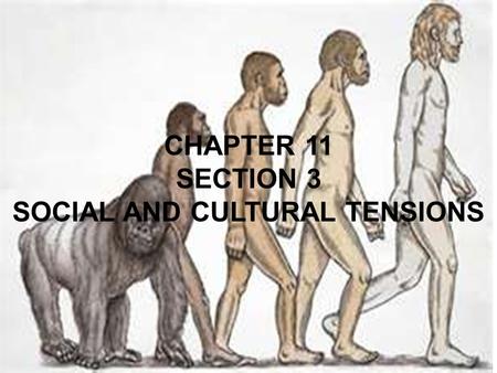 SOCIAL AND CULTURAL TENSIONS