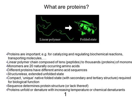 What are proteins? Proteins are important; e.g. for catalyzing and regulating biochemical reactions, transporting molecules, … Linear polymer chain composed.