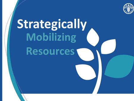 Strategically Mobilizing Resources. Day 2: Session 4 Overview.