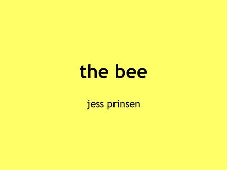 The bee jess prinsen. hand drawings Bees belong to the same order as wasps. Like wasps, bees have mouth parts with a long tongue that is suited for gathering.
