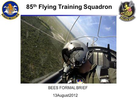 85 th Flying Training Squadron BEES FORMAL BRIEF 13August2012.