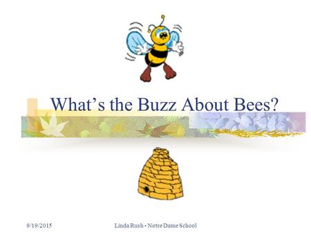 9/19/2015Linda Rush - Notre Dame School What’s the Buzz About Bees?