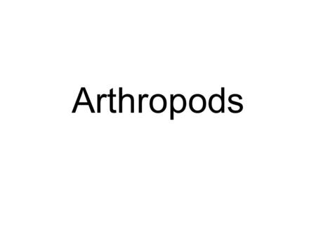 Arthropods. General Characteristics All have jointed legs Evolved from annelids (segmented worms)