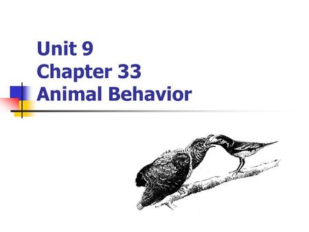 Unit 9 Chapter 33 Animal Behavior
