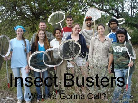 Insect Hunters Insect Busters Who Ya Gonna Call?.