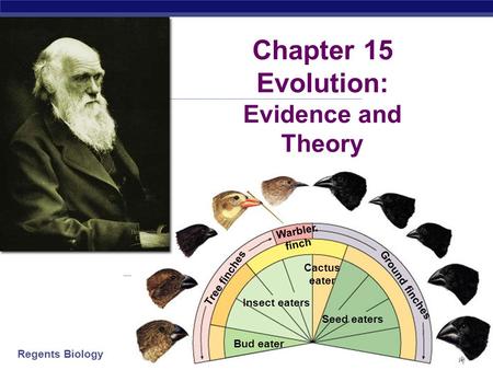 Regents Biology 2006-2007 Insect eaters Bud eater Seed eaters Cactus eater Warbler finch Tree finches Ground finches Chapter 15 Evolution: Evidence and.