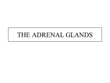 THE ADRENAL GLANDS. The Adrenal Gland Anatomy was first described in 1563. Is located above (or attached to) the upper pole of the kidney. Is pyramidal.
