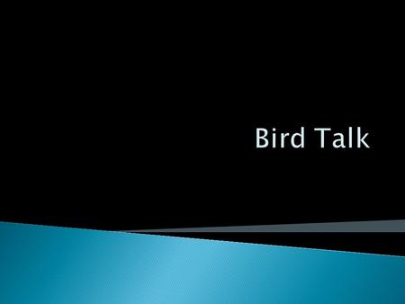 Have you listened to bird calls or songs?  Can you identify the bird from its song?  Do you know how birds and humans differ in producing sounds?