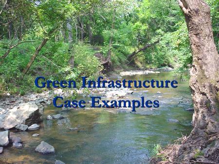 Green Infrastructure Case Examples. Many components can make up a GI strategy Green Infrastructure Strategy Describing Cores, Hubs Protection and Restoration.