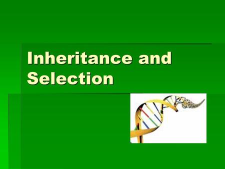 Inheritance and Selection. Which questions can you handle? Select a level. 3 333333 4 44444 555555 666666 777777.