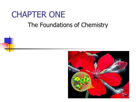 The Foundations of Chemistry