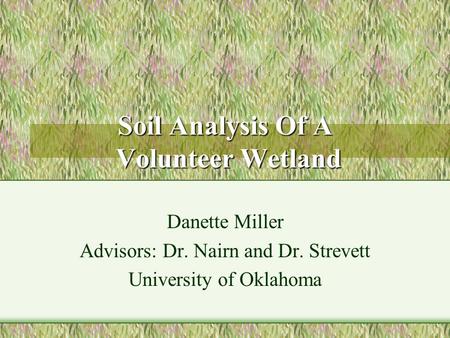 Soil Analysis Of A Volunteer Wetland Danette Miller Advisors: Dr. Nairn and Dr. Strevett University of Oklahoma.