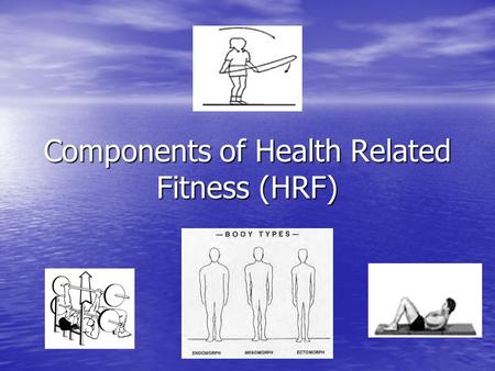 Components of Health Related Fitness (HRF). Last lesson (Previous Learning) Muscles & Movement Muscles Names and location of the major muscles of the.