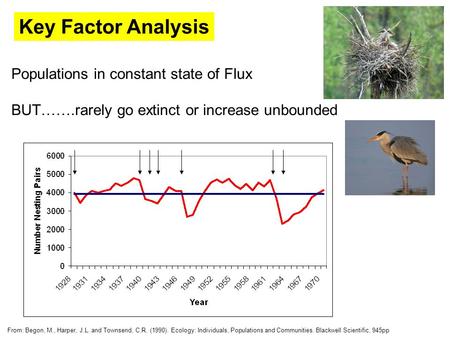 Key Factor Analysis Populations in constant state of Flux BUT…….rarely go extinct or increase unbounded From: Begon, M., Harper, J.L. and Townsend, C.R.