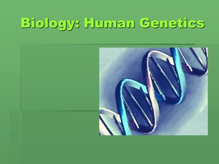 Biology: Human Genetics. Autosomal (body cells) Dominant Inheritance   Dominant gene located on 1 of the “regular cells”   Letters used are upper.